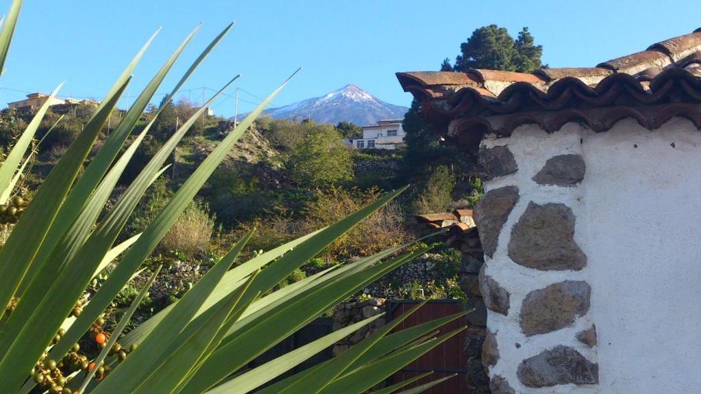 Finca Los Ciruelos Casas Rurales Icod De Los Vinos Exterior foto