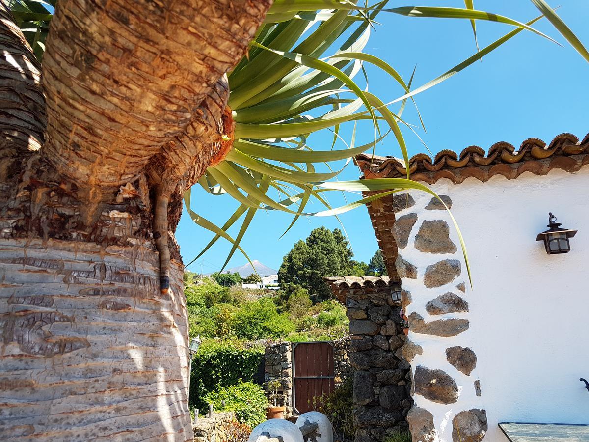 Finca Los Ciruelos Casas Rurales Icod De Los Vinos Exterior foto